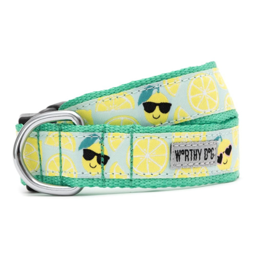 The Worthy Dog Cheerful Lemons Ribbon Nylon Webbing Dog Collar