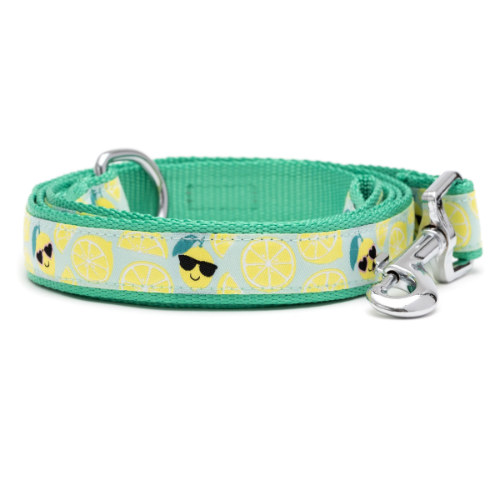 The Worthy Dog Cheerful Lemons Ribbon Nylon Webbing Matching Lead — Rolled View