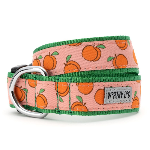 The Worthy Dog Peachy Keen Ribbon Nylon Webbing Dog Collar