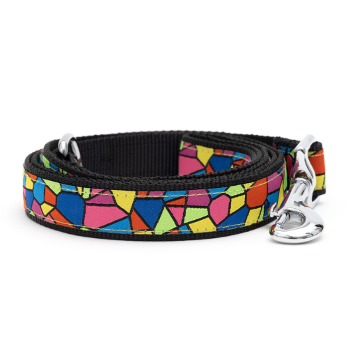 The Worthy Dog Stained Glass Mosaic Ribbon Nylon Webbing Matching Lead